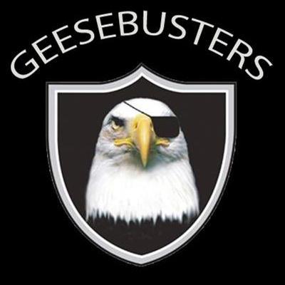 geesebuster