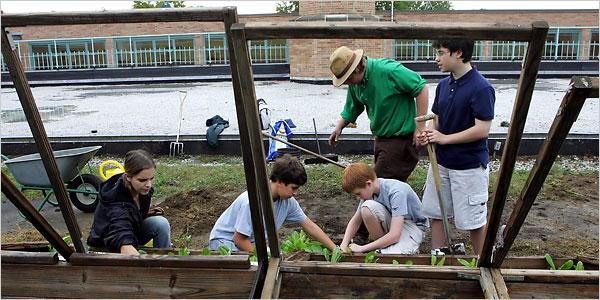 middleschoolgarden