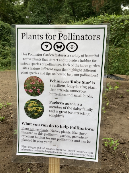 Pollinators