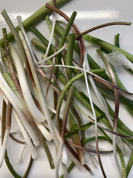 onion grass bottoms cut