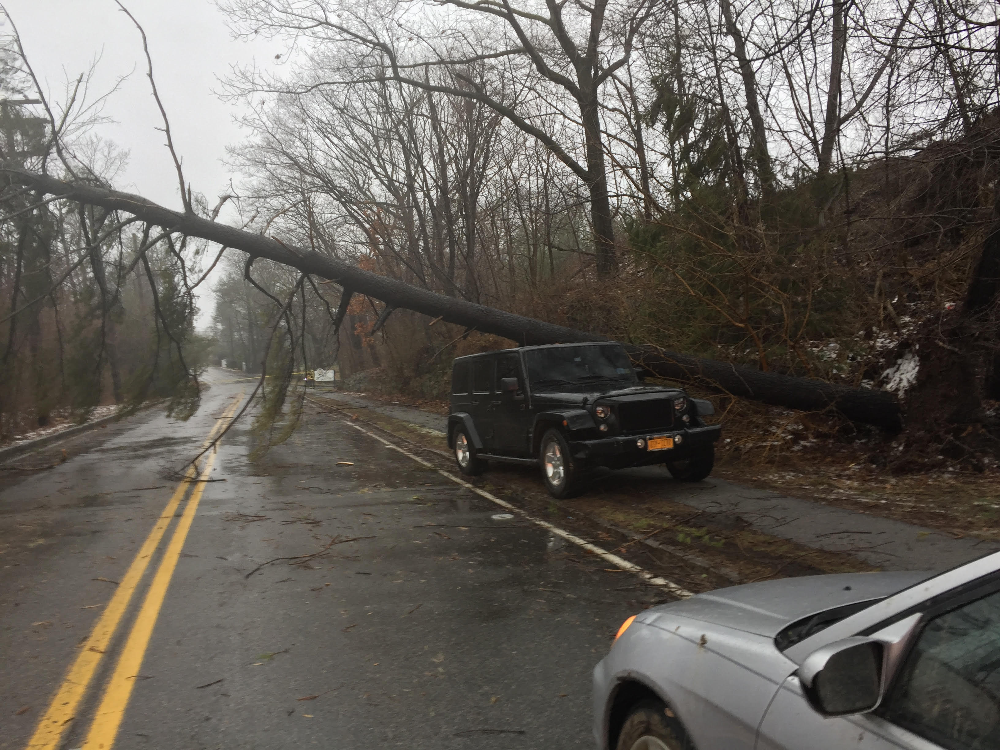 Storm Riley Jeep