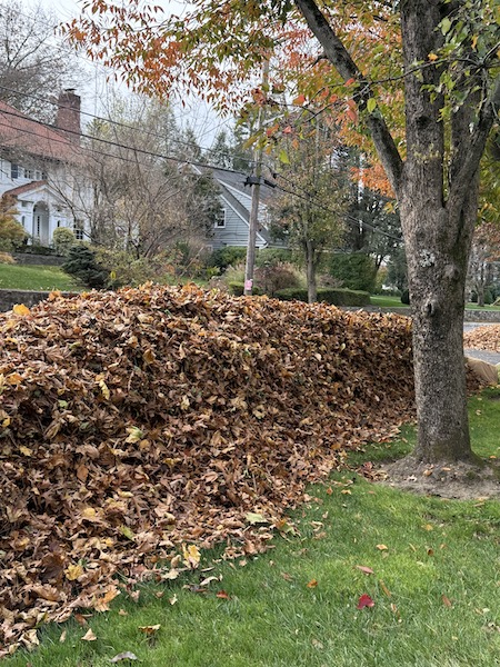 leafpile