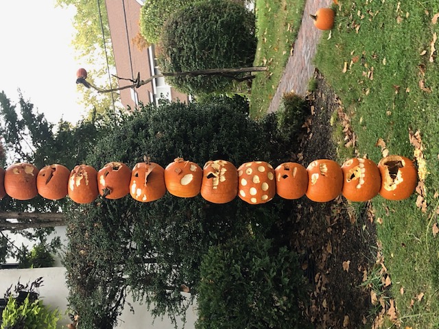 pumpkins