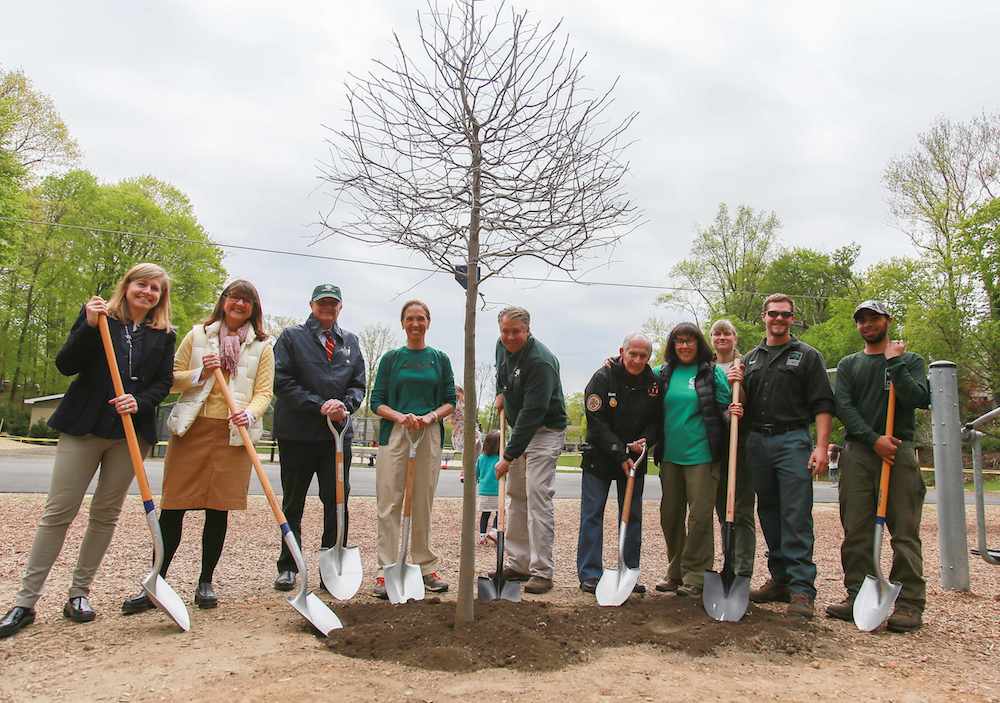 Arbor day photo