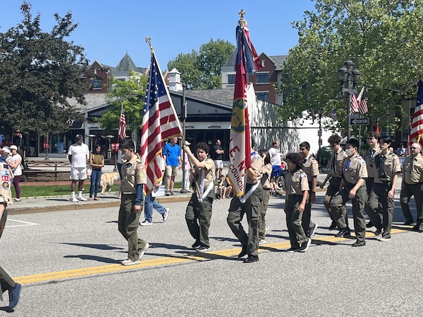 More_SCOUTS_flags_