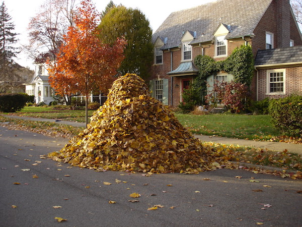 leafpile