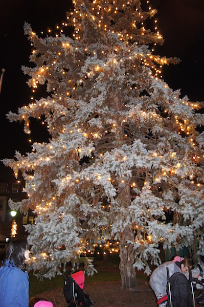 xmastree