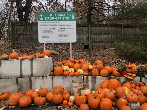 pumpkinrecycling