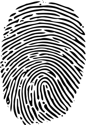 fingerprint