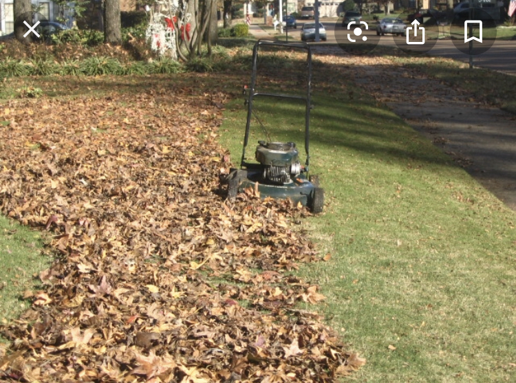 mulchmow