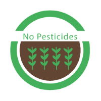 nopesticides