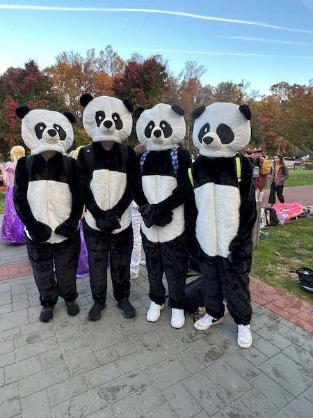 pandas