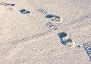 footprints