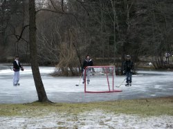 iceskating