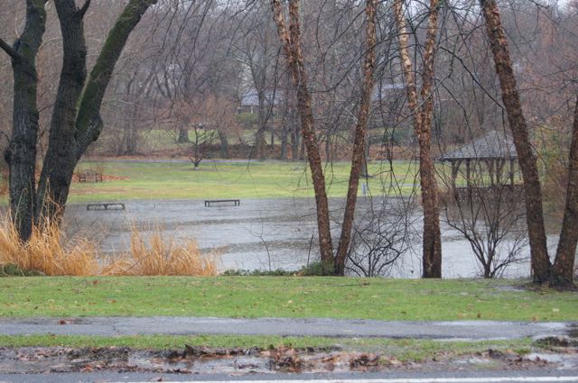 LibraryPond