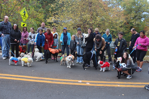 poochparade