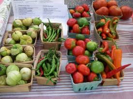 tomatillo