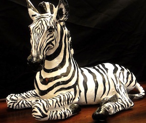 zebra